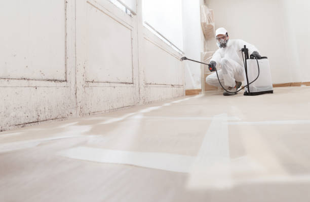 24/7 Emergency Attic Mold Removal experts in Portage, MI
