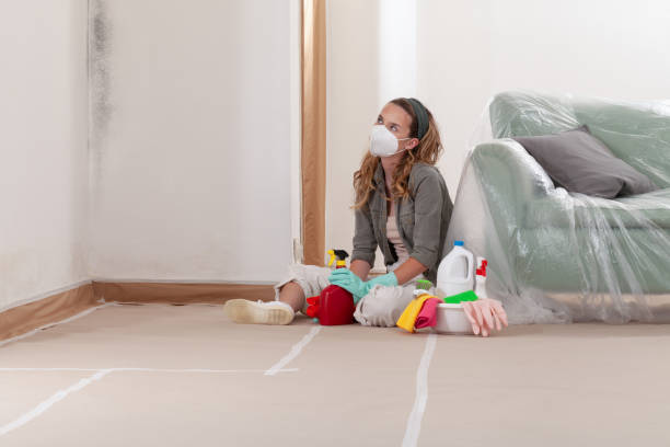 Reliable Attic Mold Removal contractor in Portage, MI by WQB Mold Removal